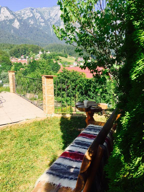 Casa De Vacanta Elena Синая Экстерьер фото